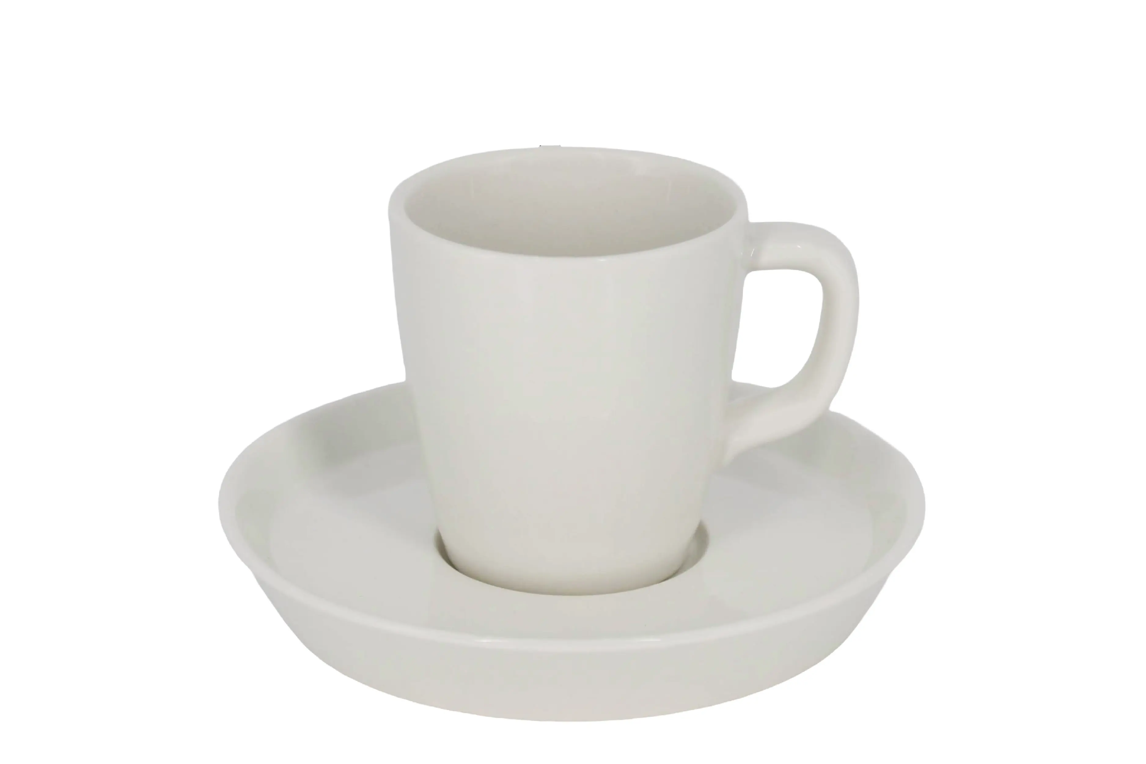 Koffiekop en Schotel Palmer Da Vinci 16cl